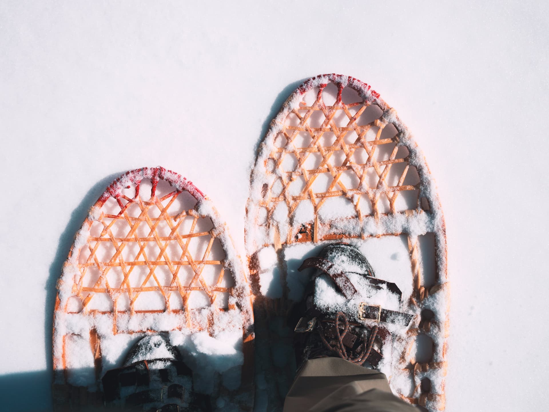 Man walking across snowy path wearing snow shoes