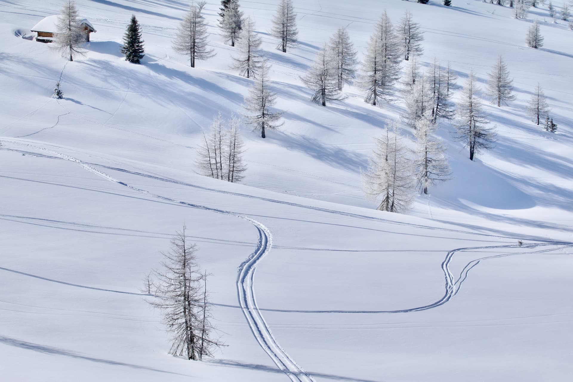 Snowtracks in snowy landscape in Italy